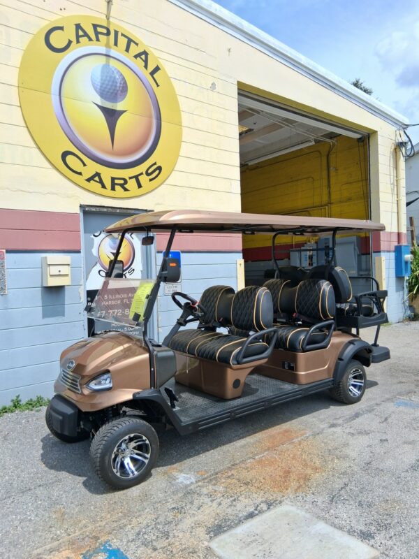 2025 Alset GM 6 Passenger - Lithium
